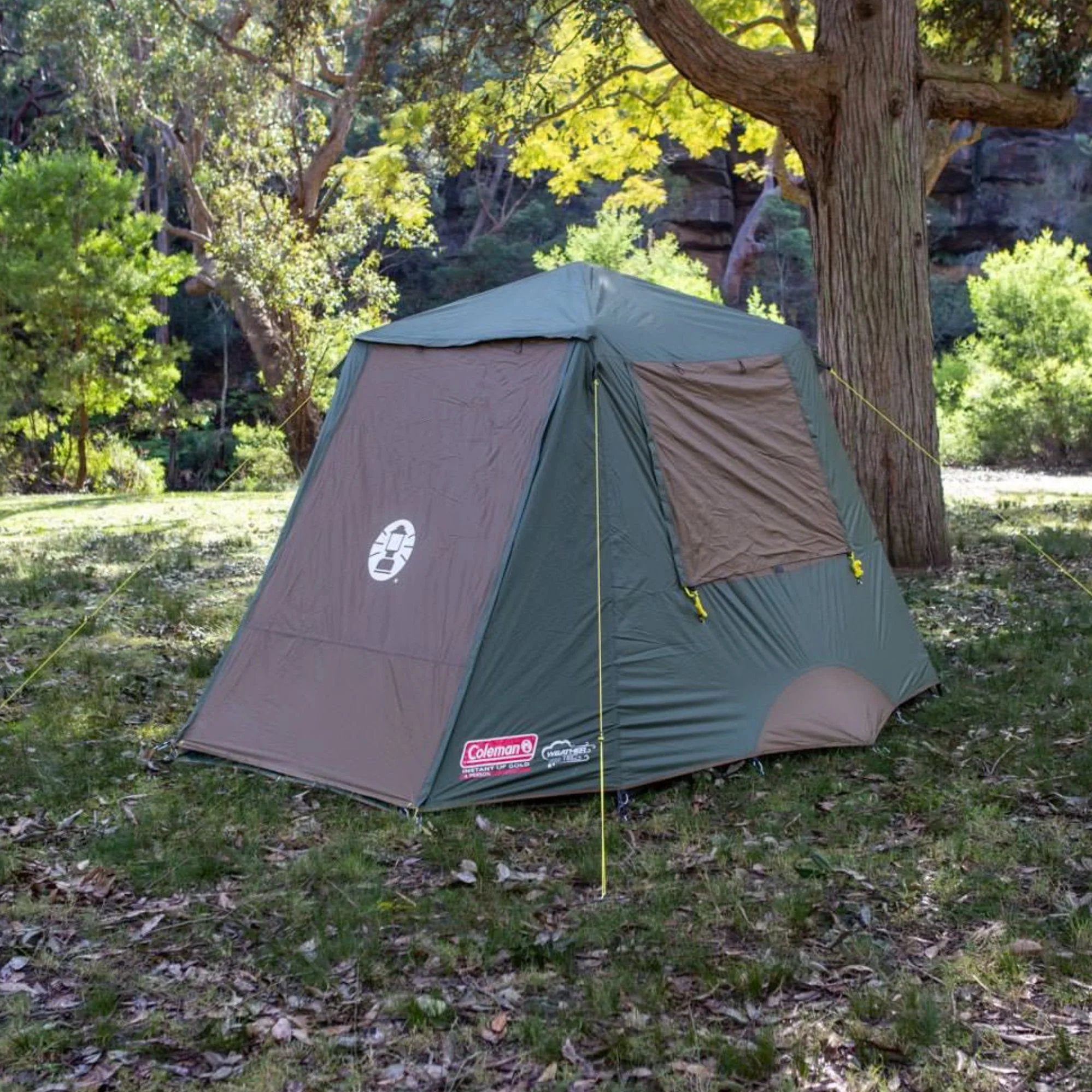 Coleman 4P Gold Series Evo Instant Up Tent, Weathertec - Image 4