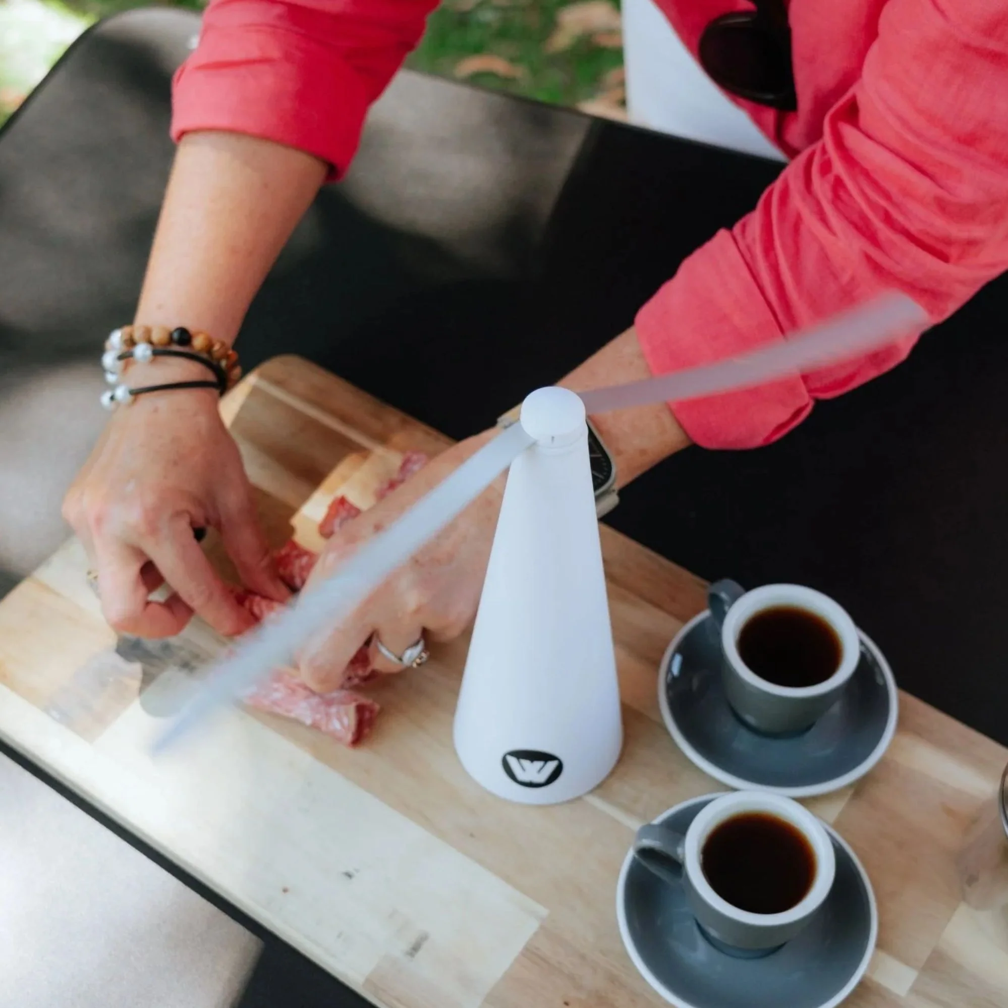 Fly Repeller Fan Rechargeable, Soft Blades, Last 10 Hours, Ceiling Hook - Image 8