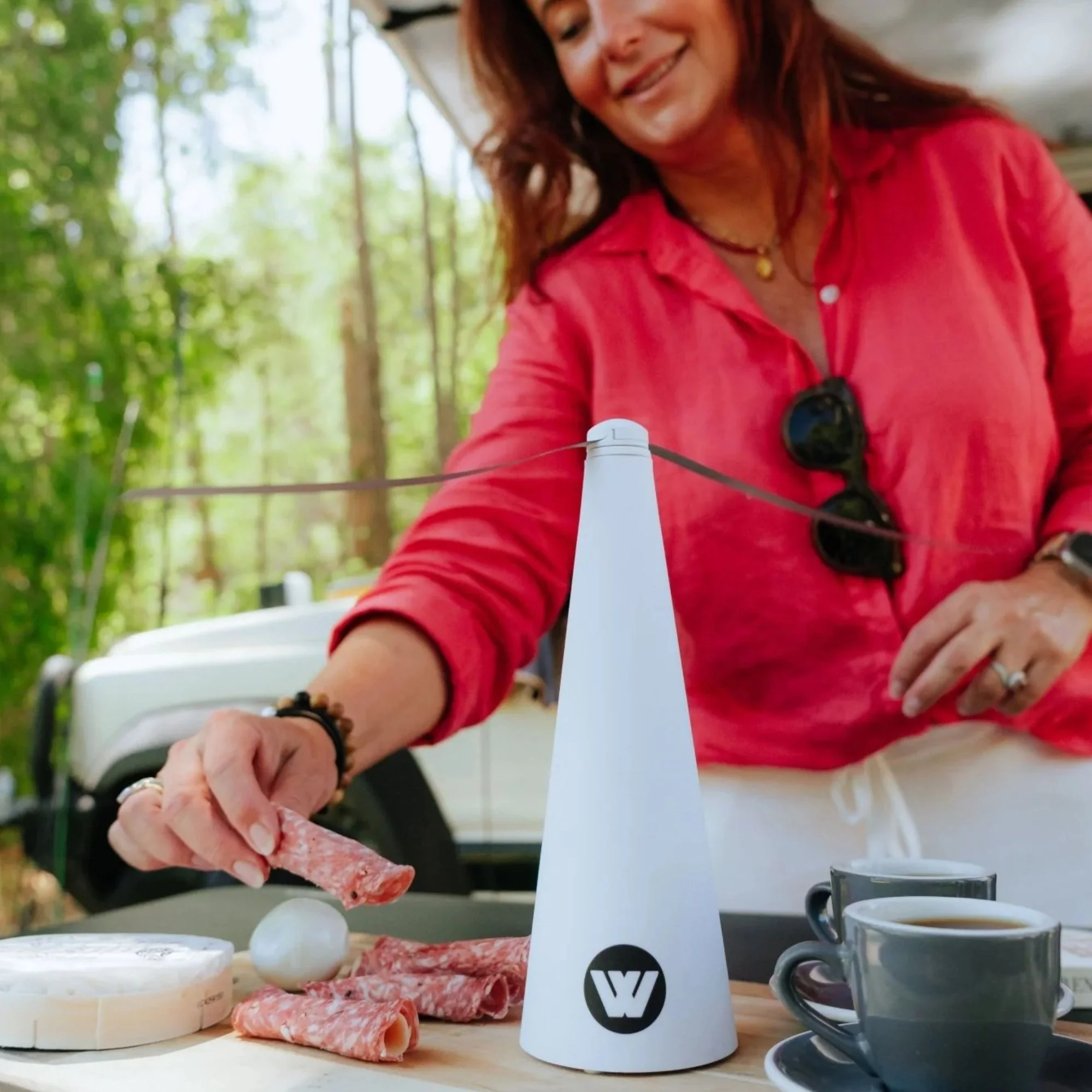 Fly Repeller Fan Rechargeable, Soft Blades, Last 10 Hours, Ceiling Hook - Image 9